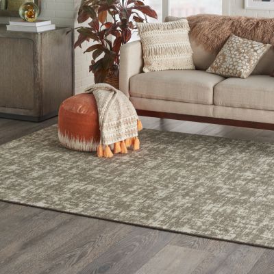 area rug in a cozy San Rafael living room